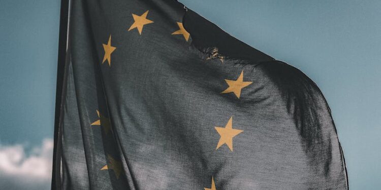 close up photography of european flag