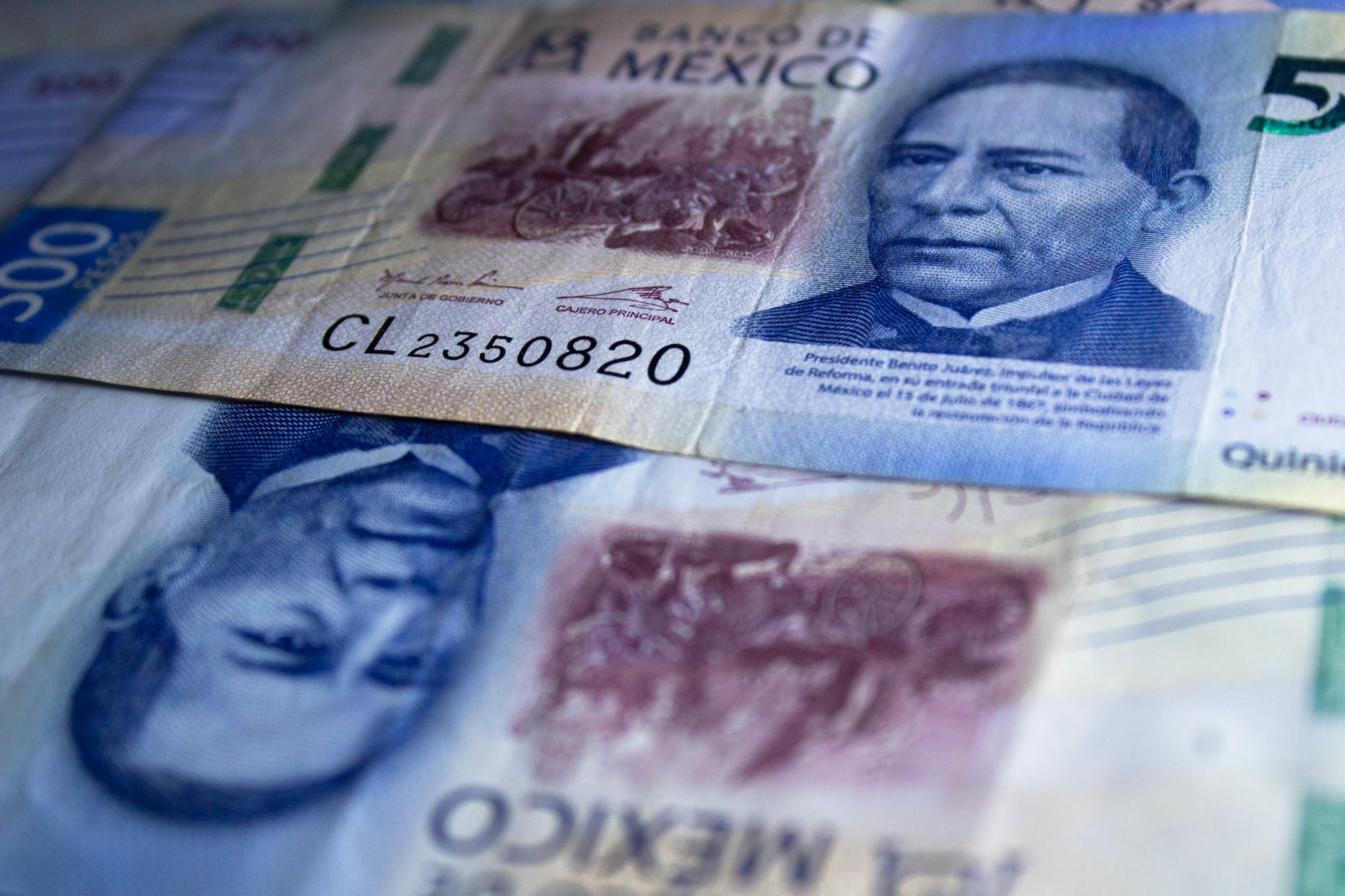banknotes in close up shot