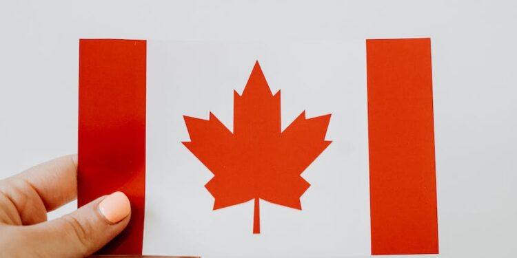 a person holding a canadian paper flag
