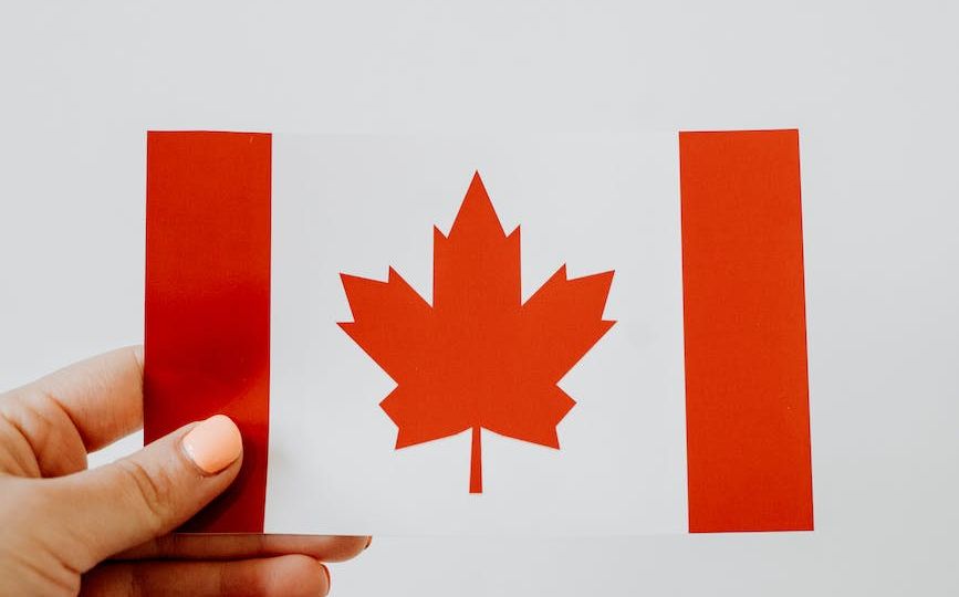 a person holding a canadian paper flag
